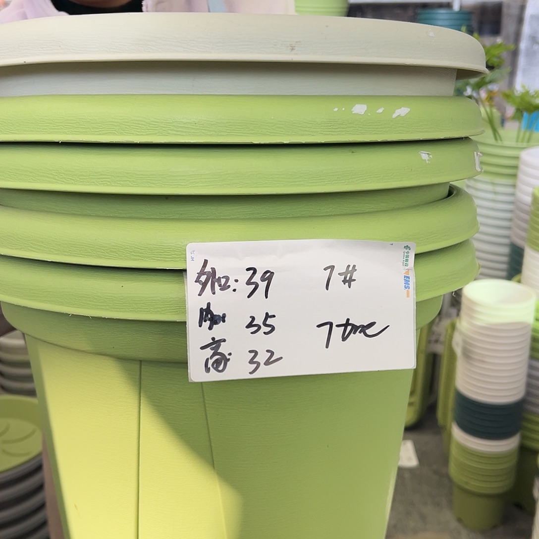 青山盆7#果绿色5个无托