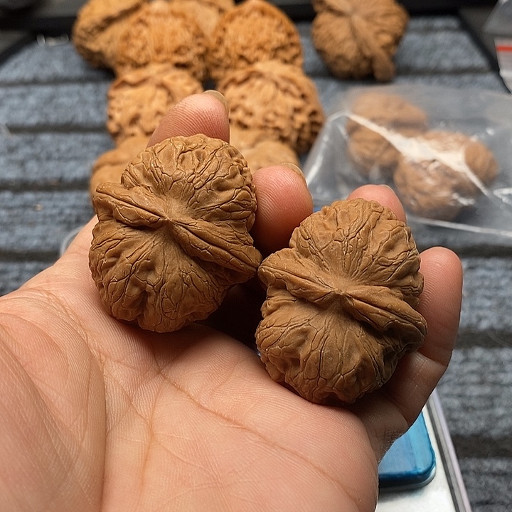 动***丶文玩核桃把件元宝42尺