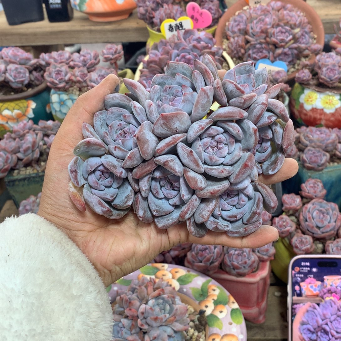 哈哈哈哈哈哈哈哈16