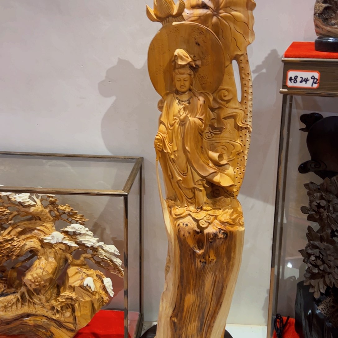 柏木（崖柏）。。。。。。。。 。