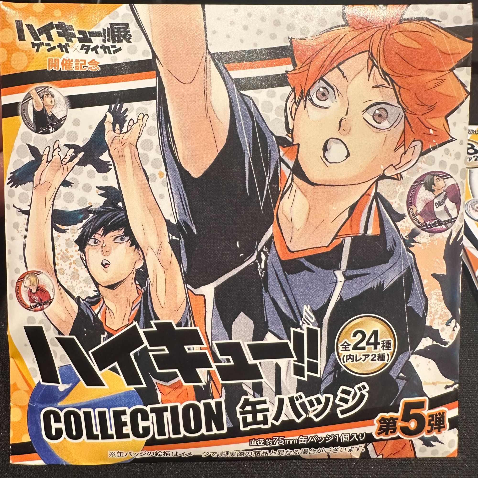 <Catch!>排球少年 JS原画吧唧 第5弹 （默认代拆）