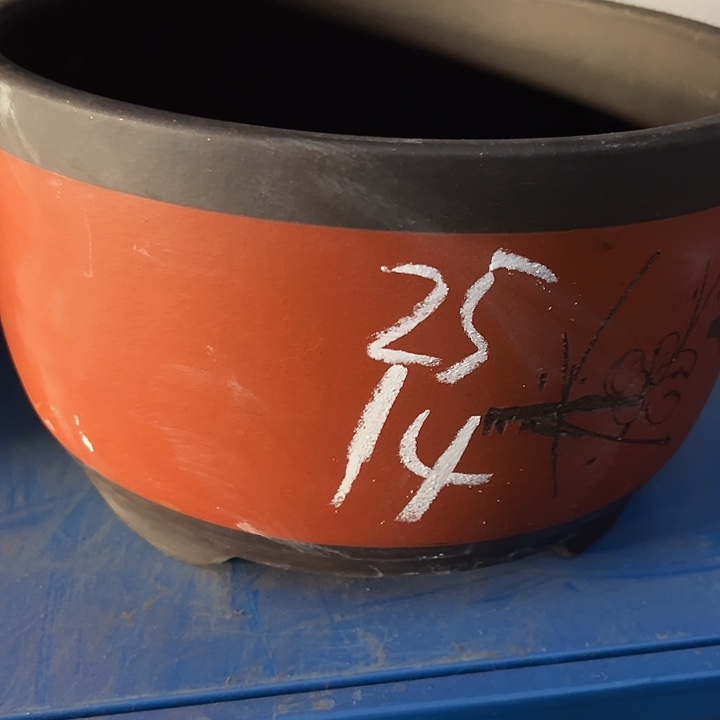 25红球盆大一个花盆花盆花盆