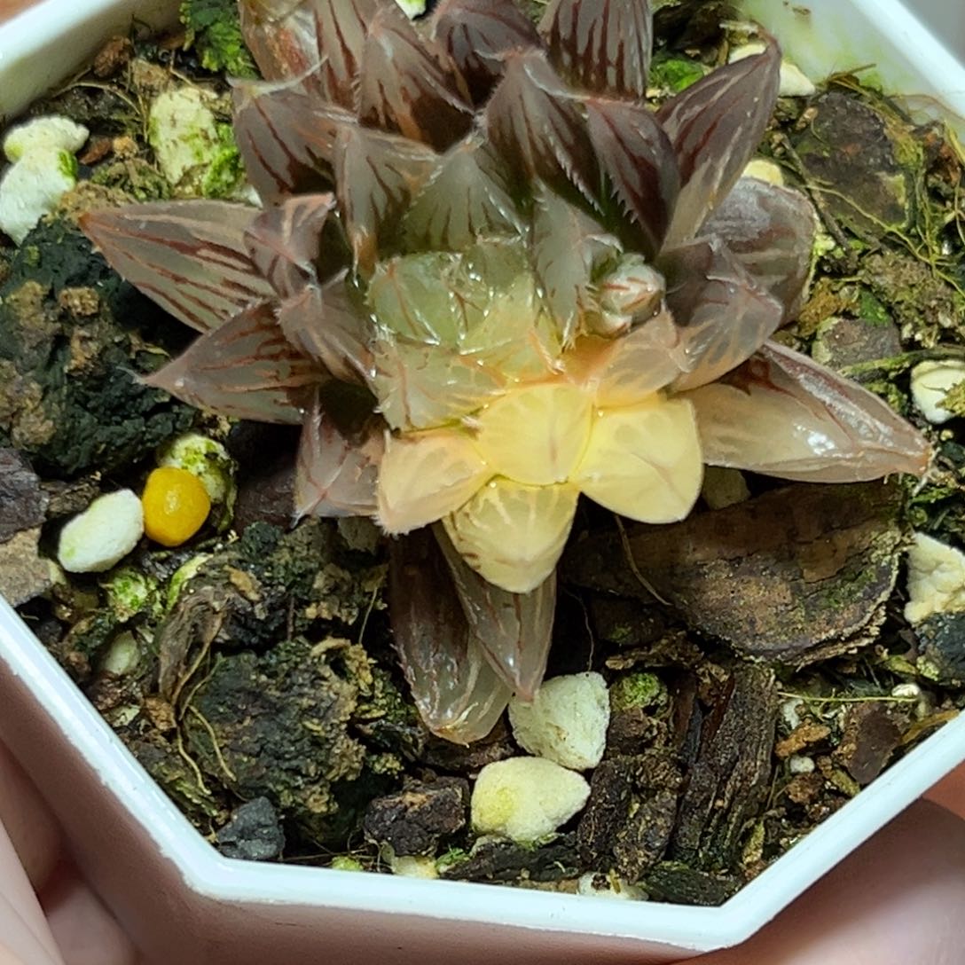 恭喜发财大吉大利0049