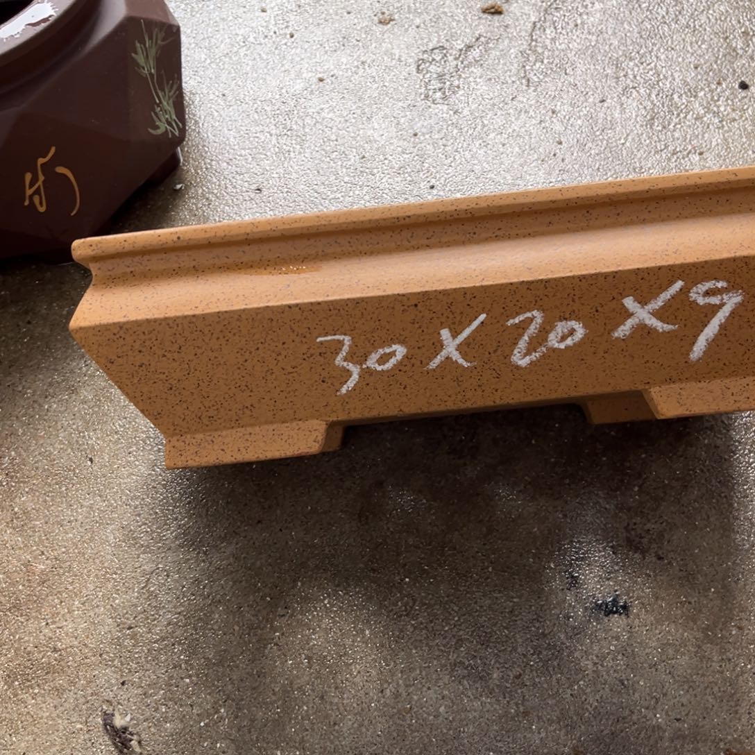 紫砂花盆盆景艺术