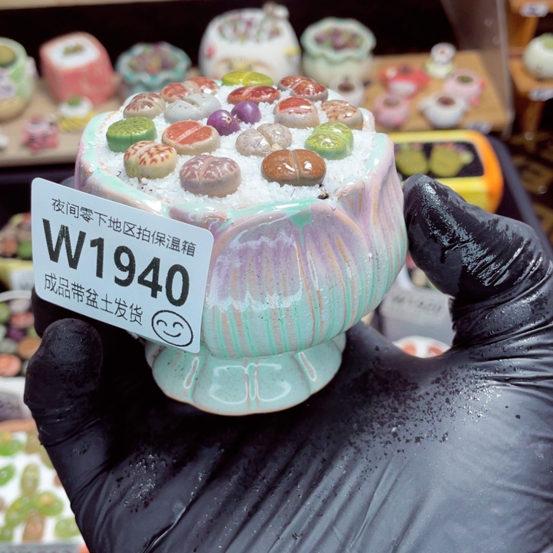 是***是夜间零下地区拍保温箱w1940