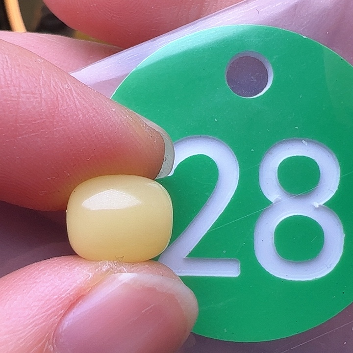 蜜蜡裸石未镶嵌8/9.5m m