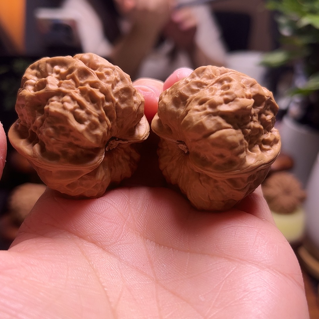 狼***吻文玩核桃把件38尺蛤蟆58