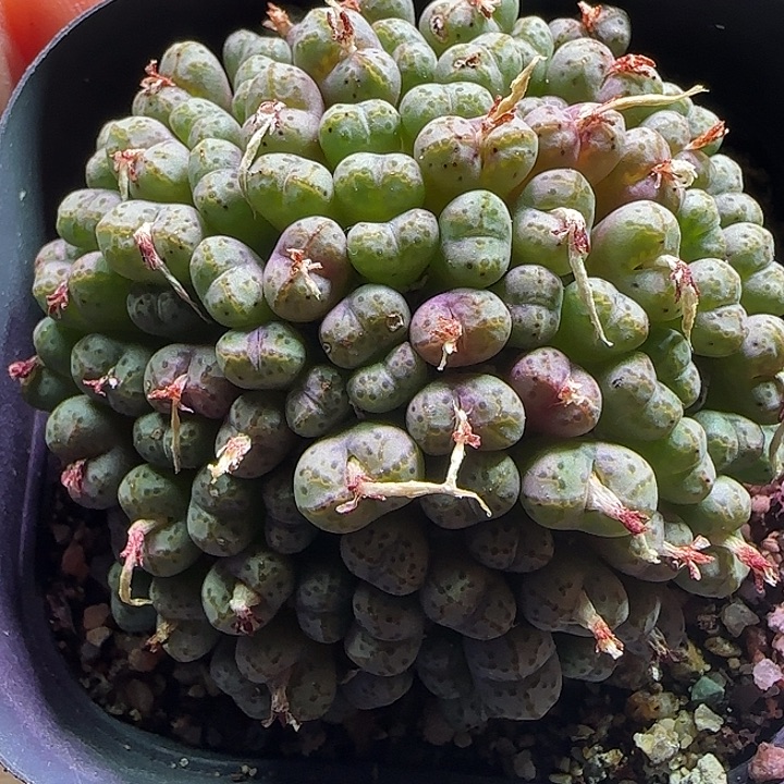 岁****哈哈哈哈哈哈哈279