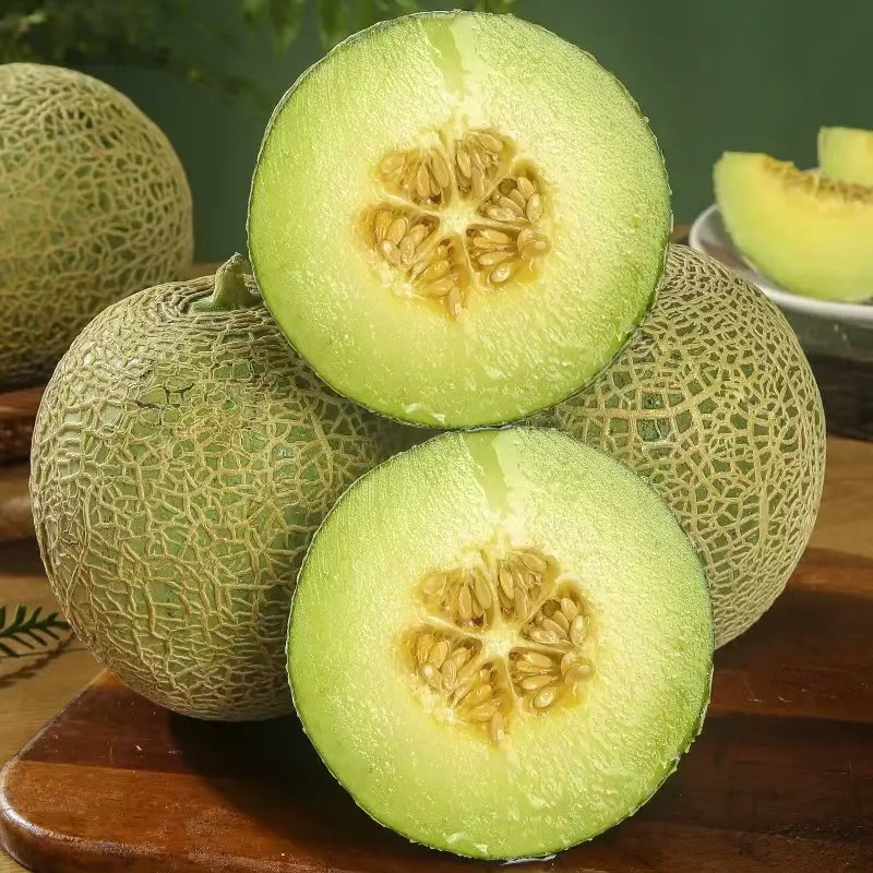 林氏玫陇甜瓜 2个约4.5/5斤净重 【阿班果业】