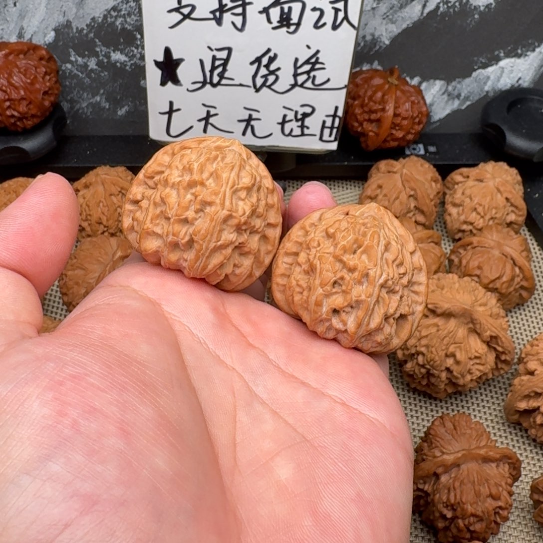 把件文玩核桃39白狮子