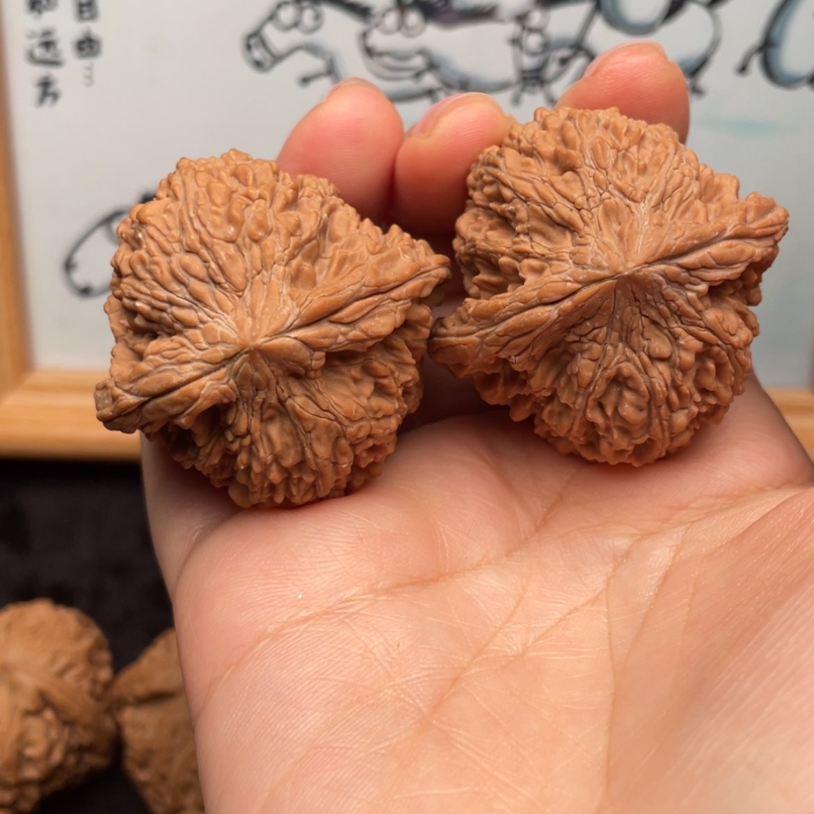 【闪购商品】文玩核桃把件42全品粗棱满天星