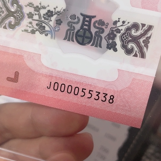 塑料2025年蛇年纪念钞靓号