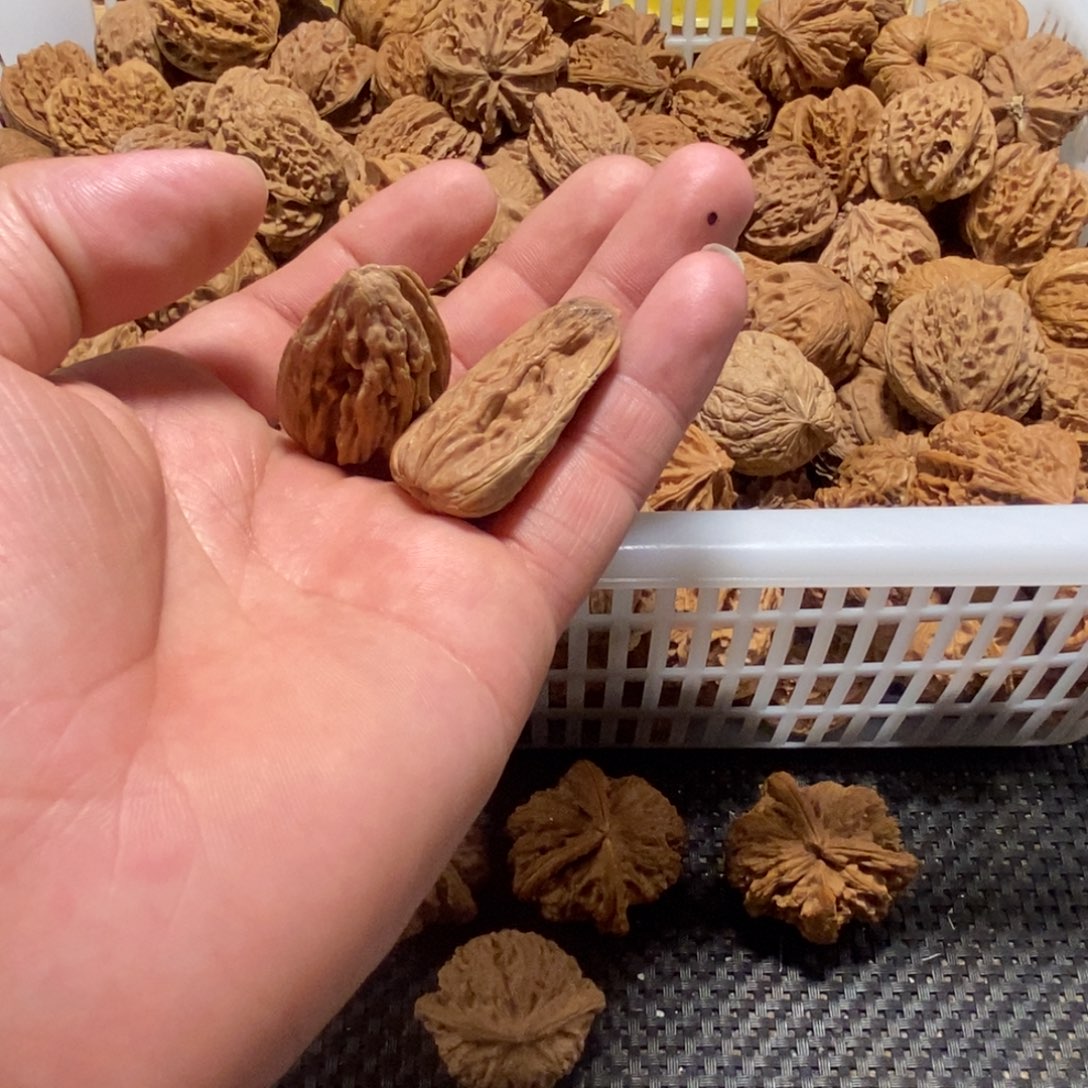 秋****文玩核桃吊坠核桃异形单只异形