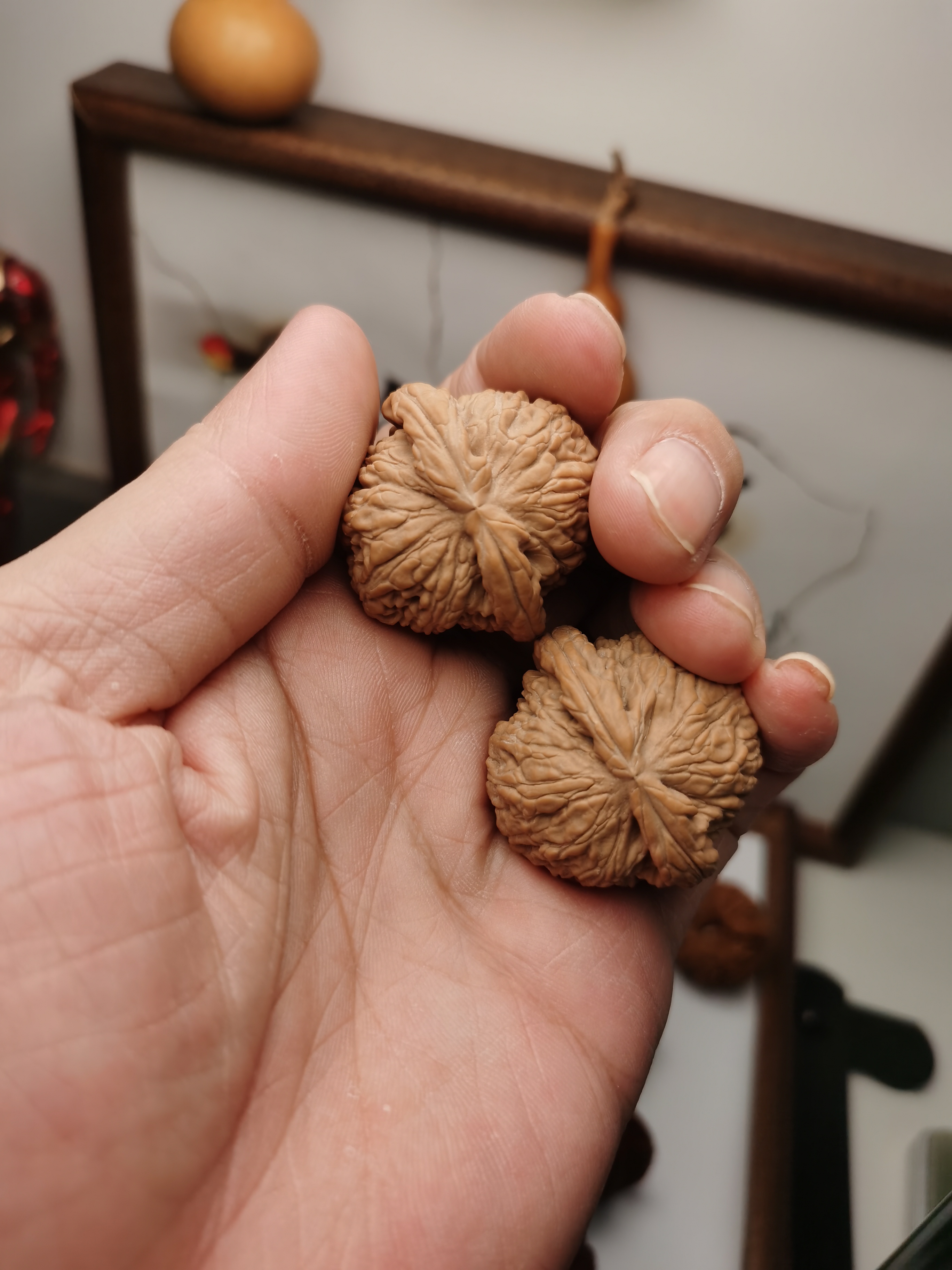 36尺球白全品白茬核桃到付