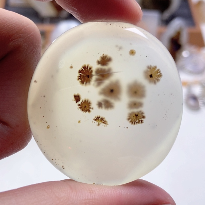 【闪购商品】玛瑙/玉髓颈饰未镶嵌