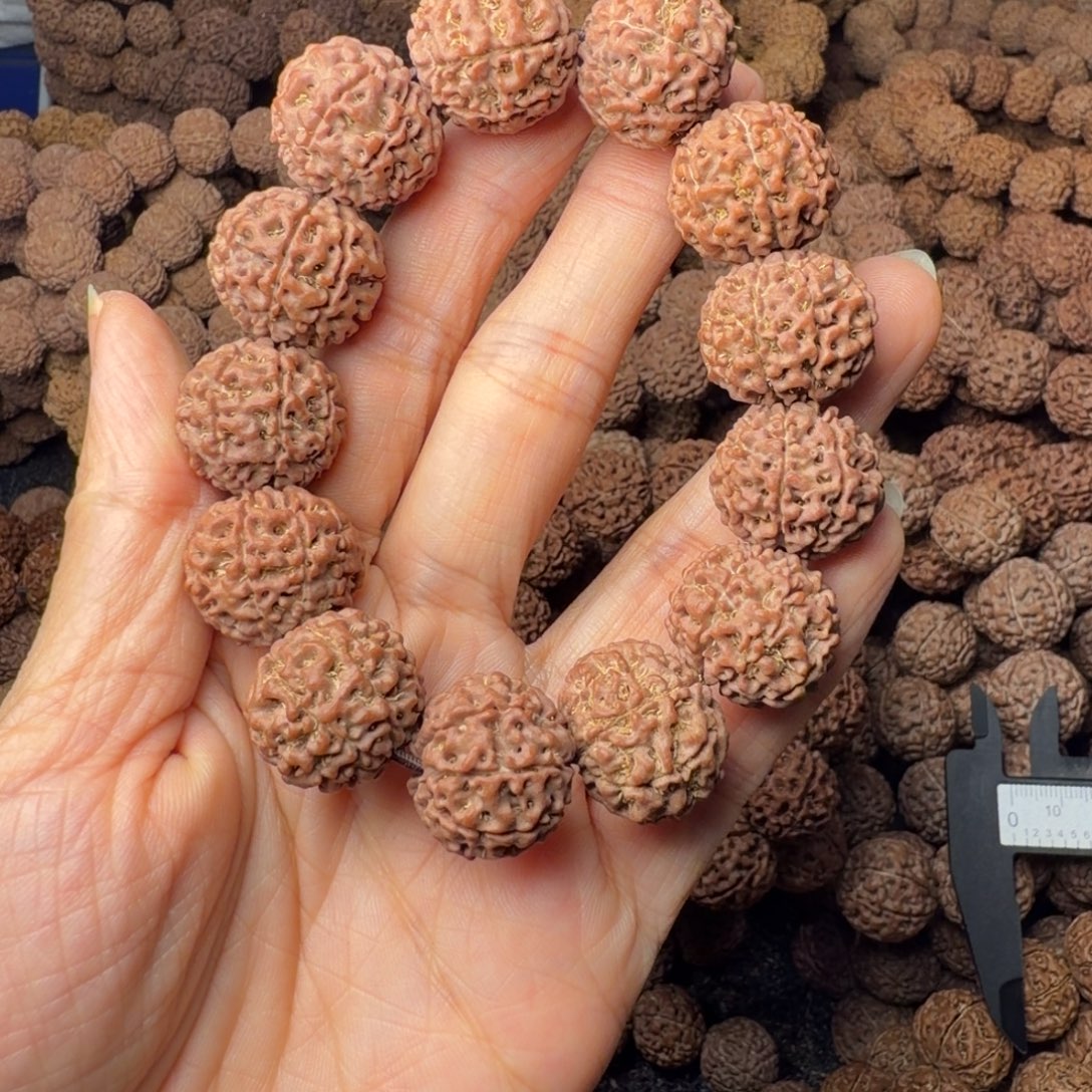手串金刚菩提8瓣卡18尺，82号