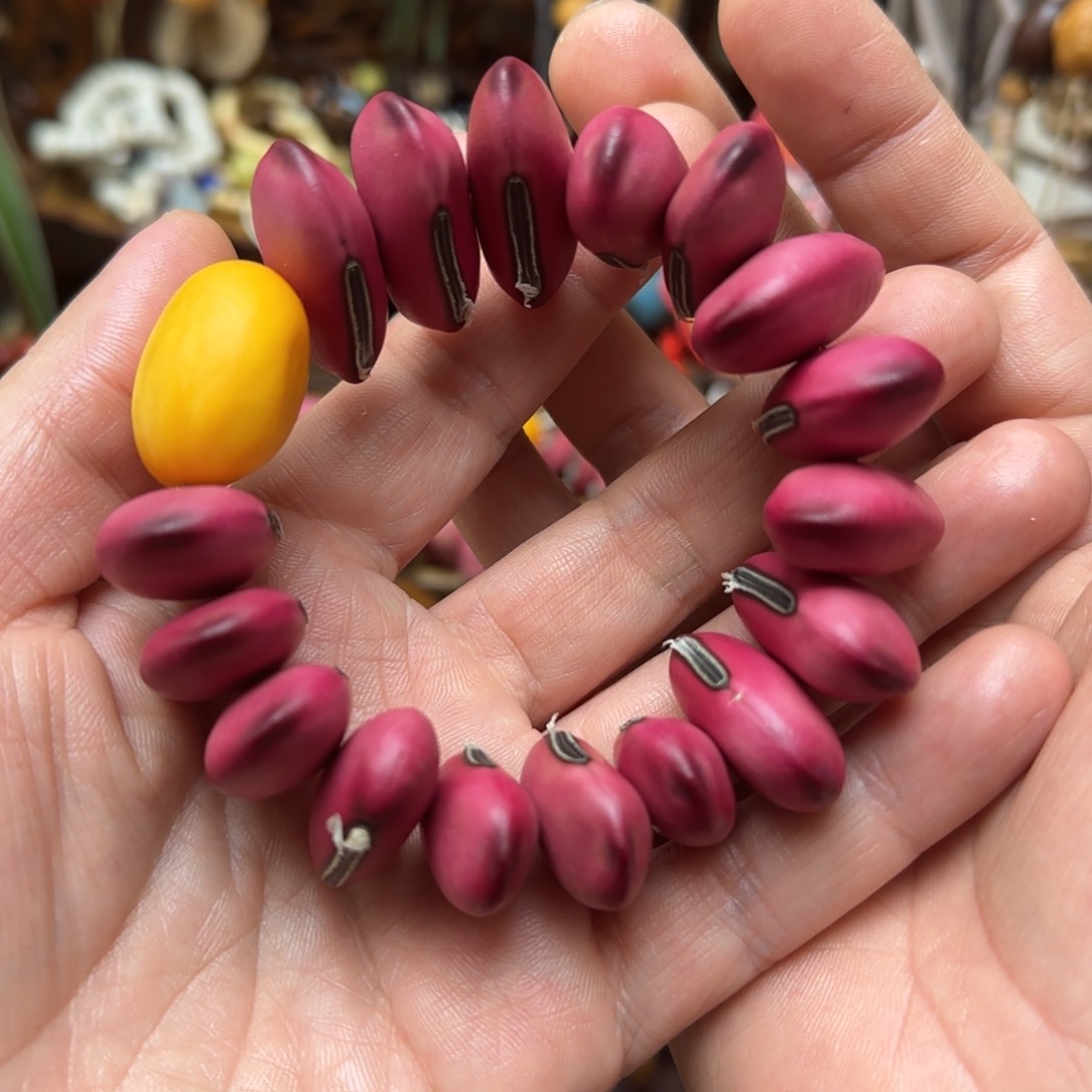 凤眼菩提手串手串