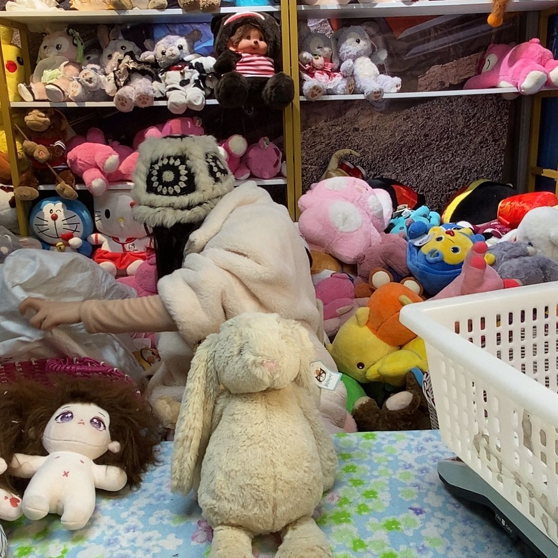 毛绒子**昭毛绒玩具500