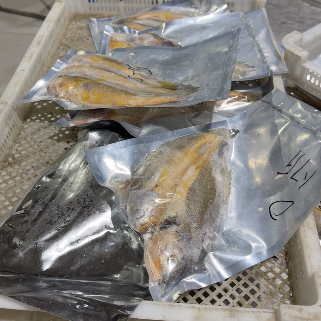 花***哥中国大陆次品黄鱼5.7斤