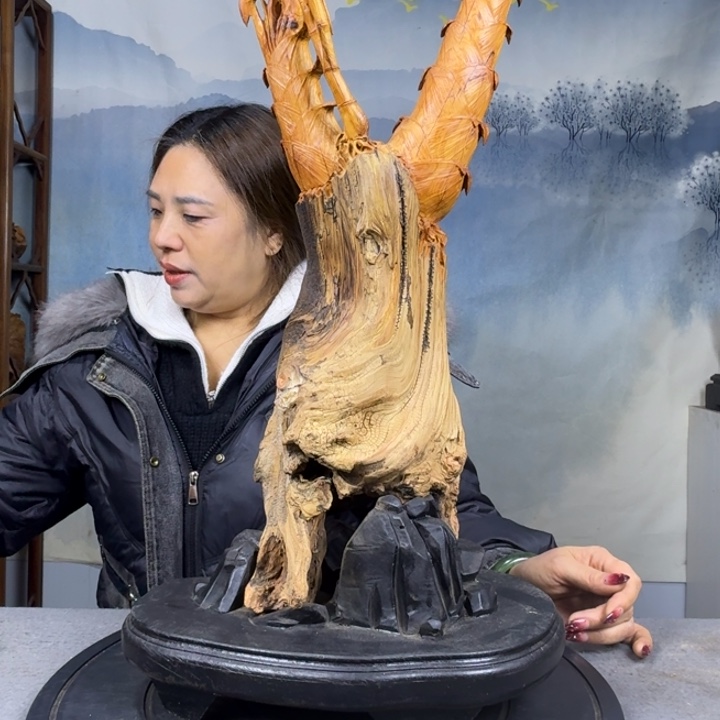 得***那柏木（崖柏）太行崖柏