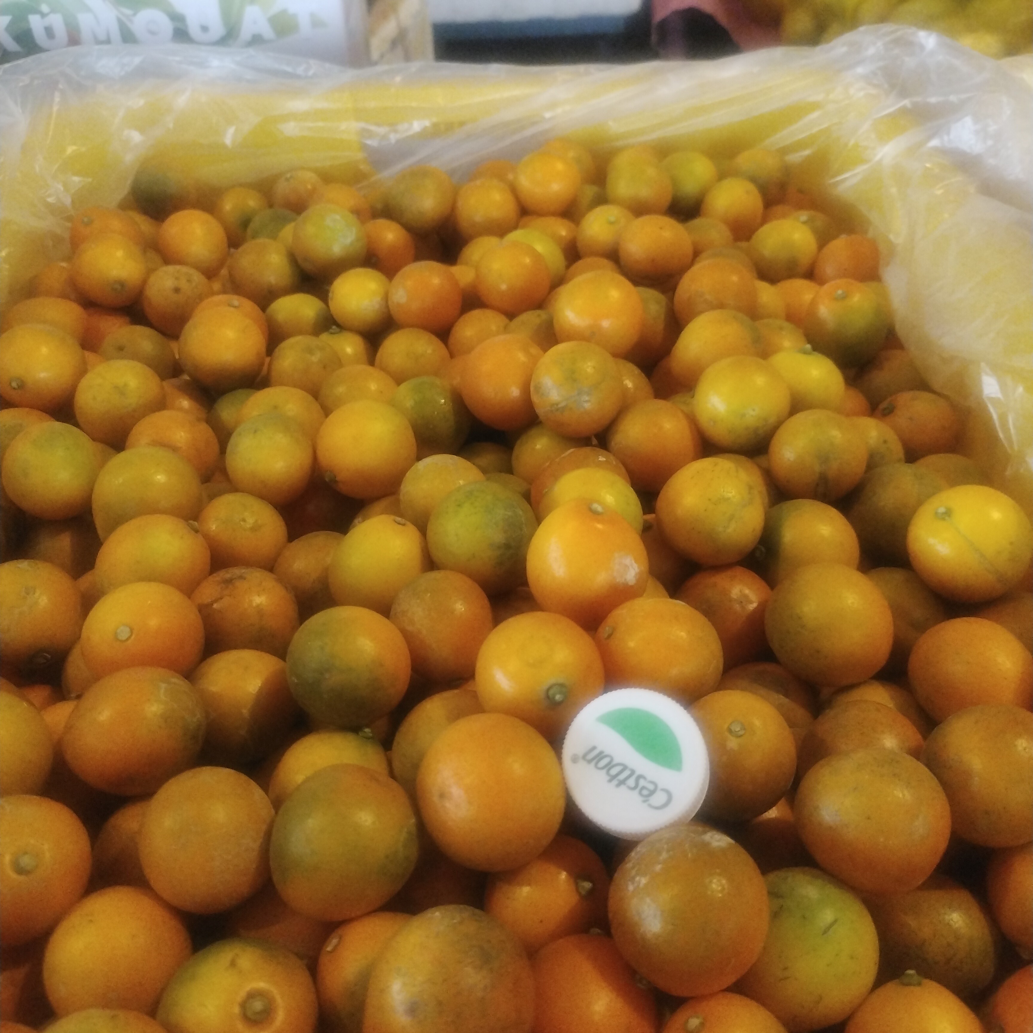 广西第三代融安脆蜜金桔，脆口清甜，皮薄汁满，无渣无籽