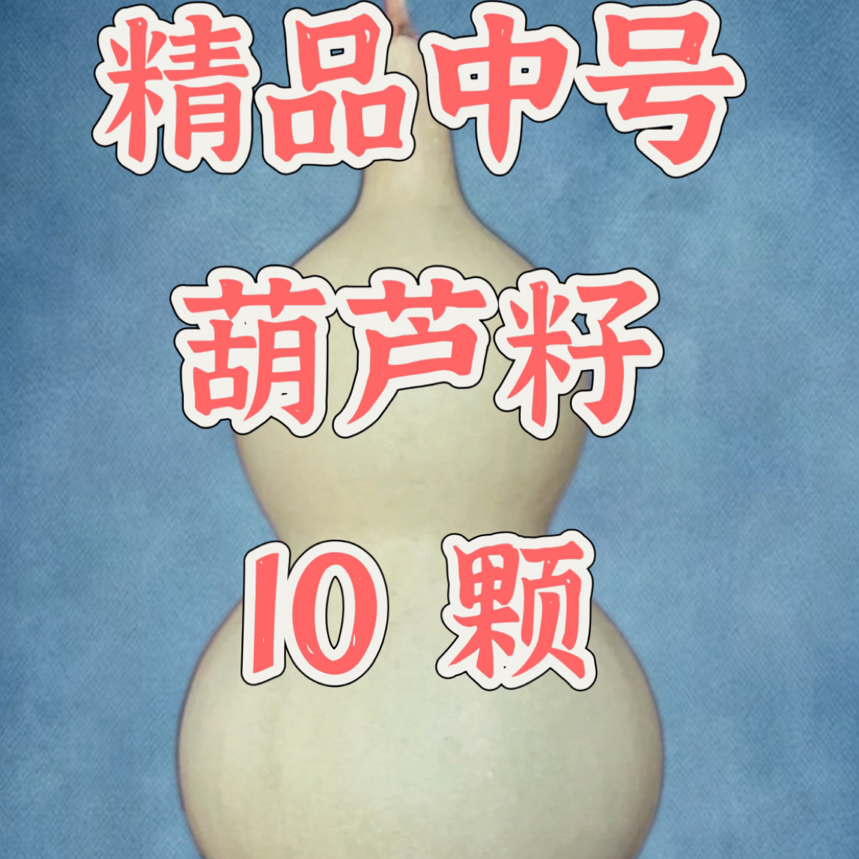 中号葫芦提纯葫芦籽10粒