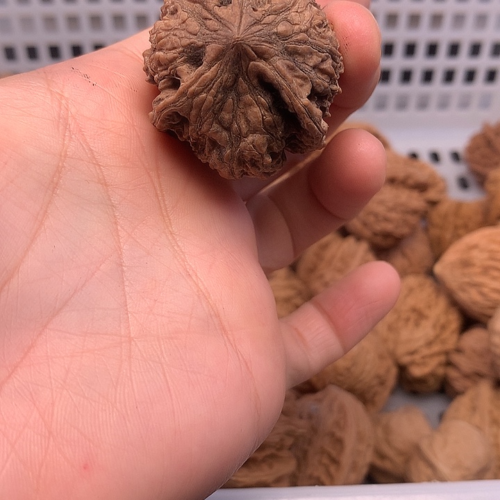 飞***觉文玩核桃吊坠文玩核桃