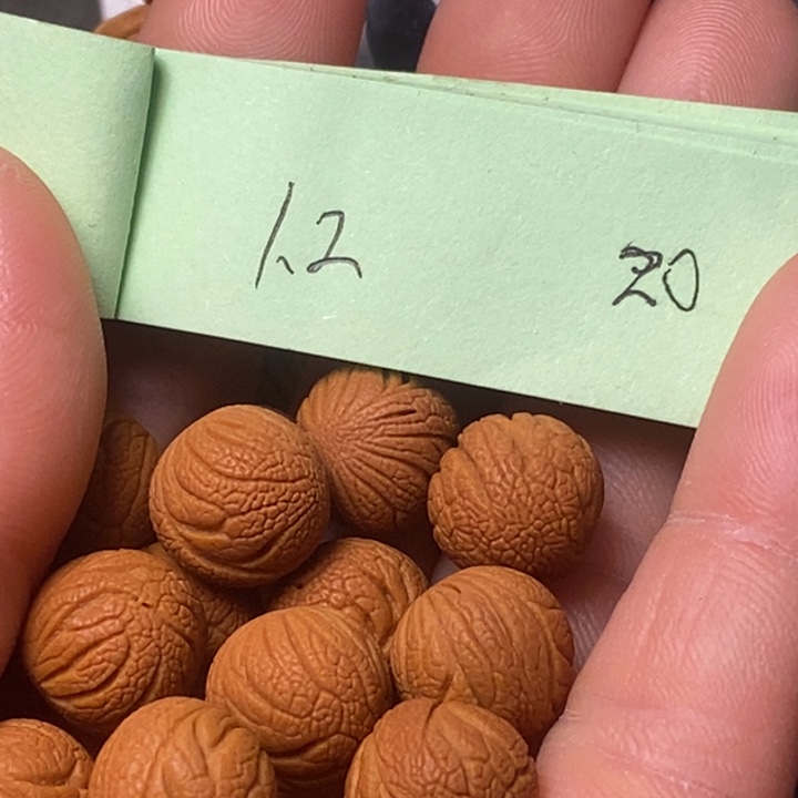 桃核手串陕西国庆桃核