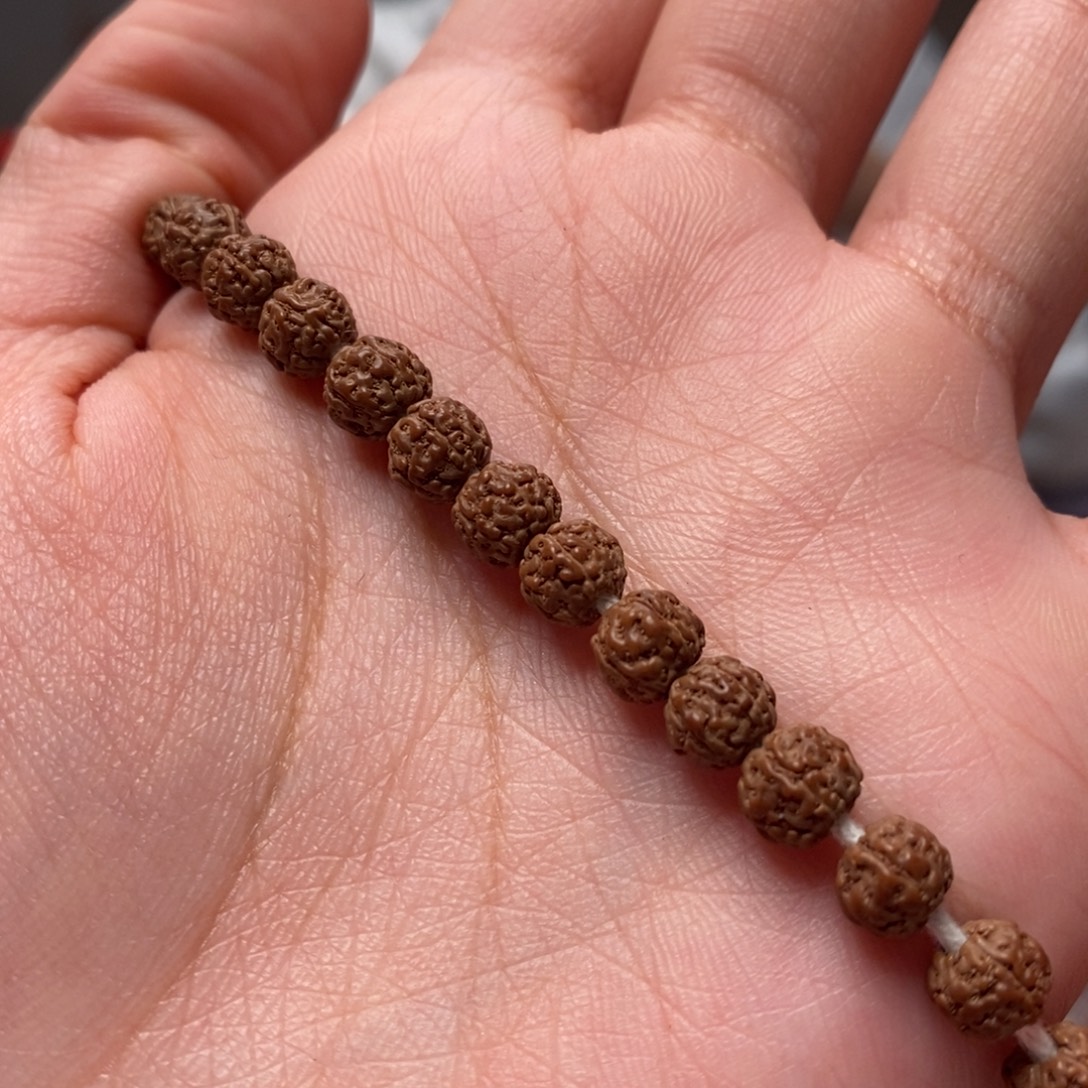 ༺***༻菩提籽类盘龙卡6108