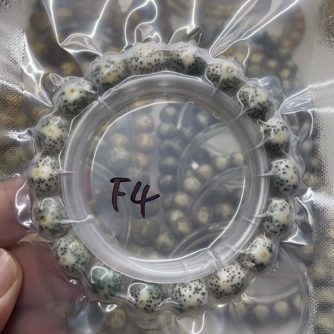 手串星月菩提手串