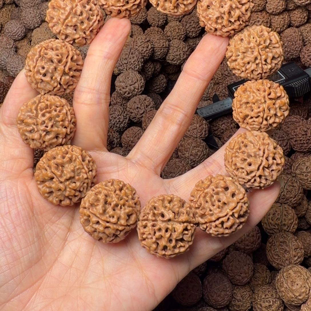 金刚菩提手串6瓣卡26尺，65号