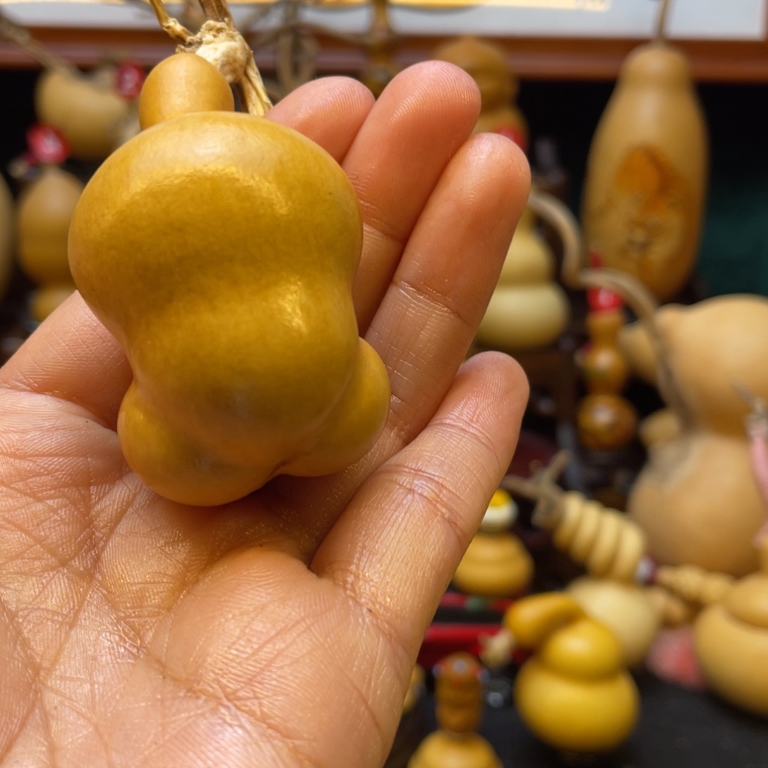 鱼****葫芦等经济作物和各种植物的生长