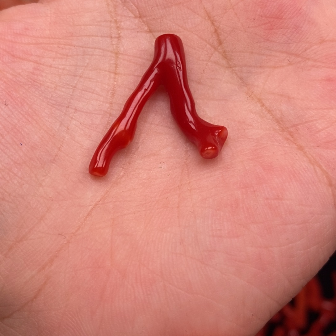 头木木剧木木木娜托木娜