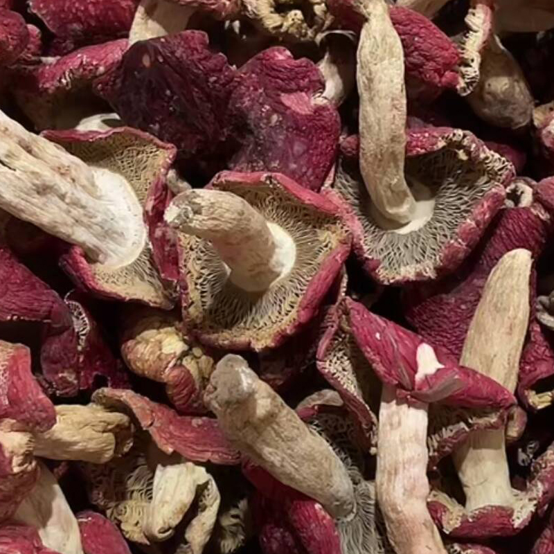 【大菇】2025年新菇干货 真的云南正红菇 红面蓝灰底红蘑菇月子菇