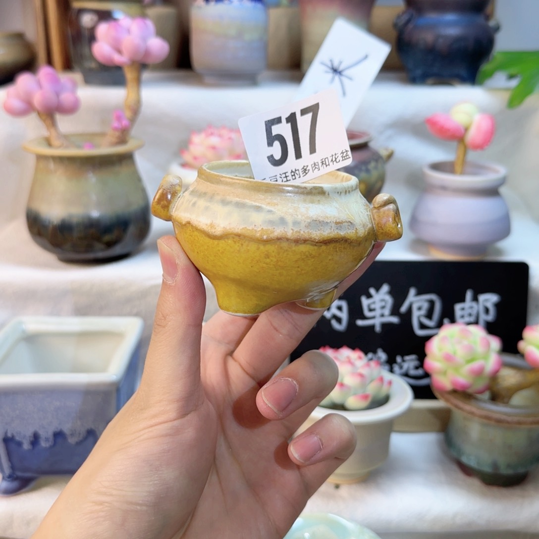 517. 内口5cm。 非偏远两单包邮