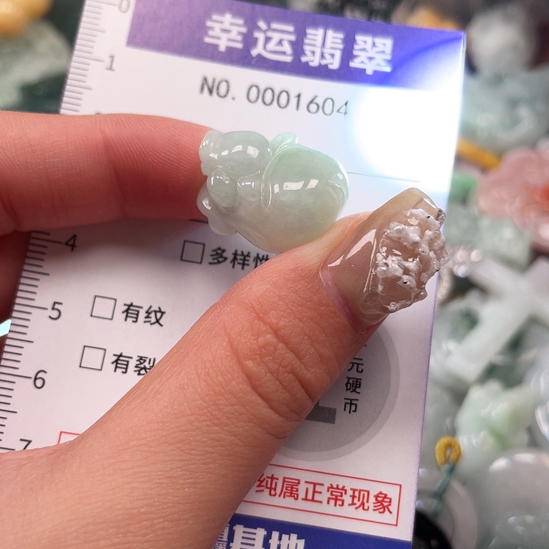 翡翠未镶嵌颈饰1604