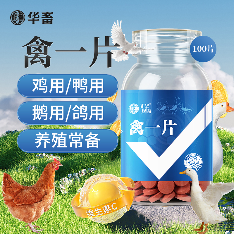 禽一片鸡鸭鹅四季常备厂家直销正品禽类养殖畜牧饲料添加剂S