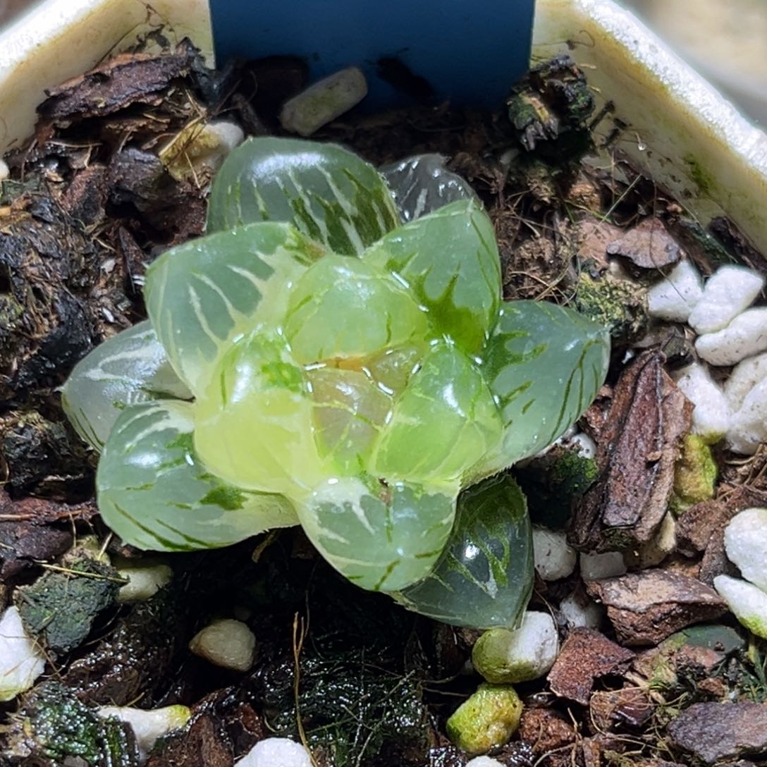 恭喜发财大吉大利723