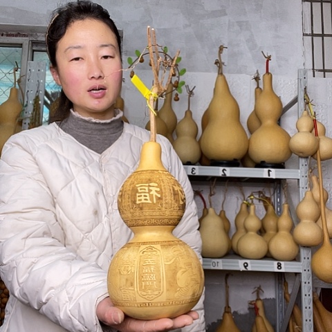 @***单天然植物葫芦文玩