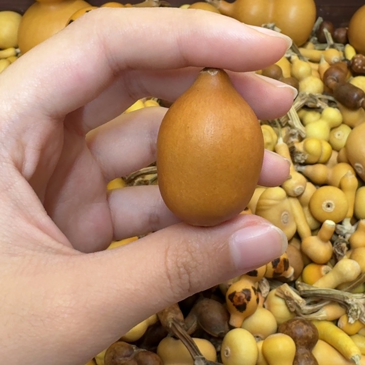 葫芦葫芦葫芦不包邮