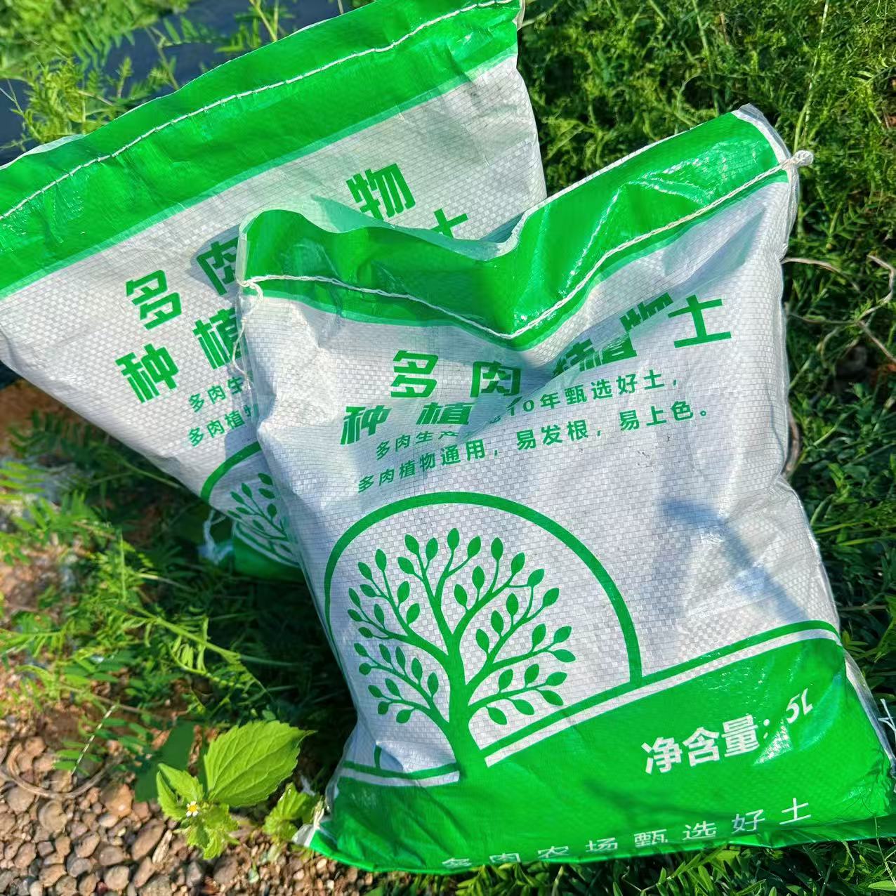 多肉种植土5L  新手好养精品办公室花卉小盆栽懒人植物