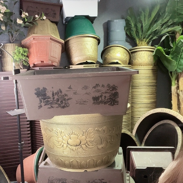 盆景盆80的五个有孔的