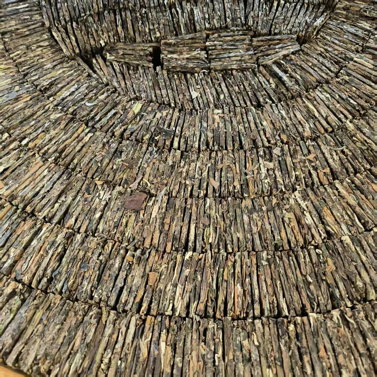 云南普洱古树白茶，源于哀牢山秘境森林古茶园千家寨古树白茶