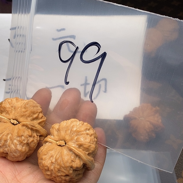 吊坠文玩核桃W94 rouuouroyroyo