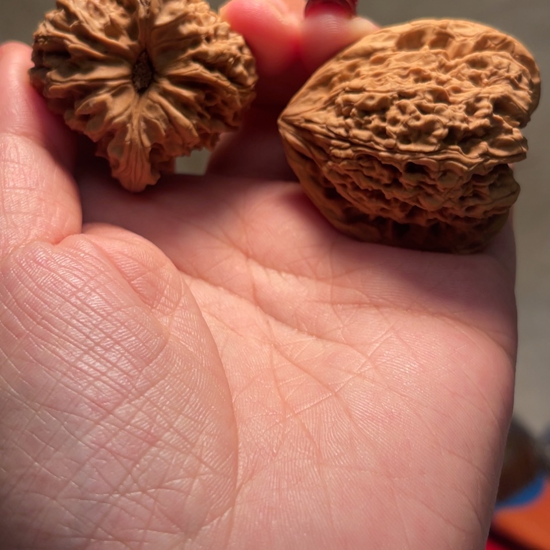 文玩核桃把件炸***?南疆