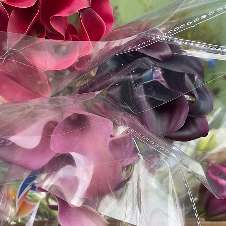 完全开放6号马蹄莲3把25支