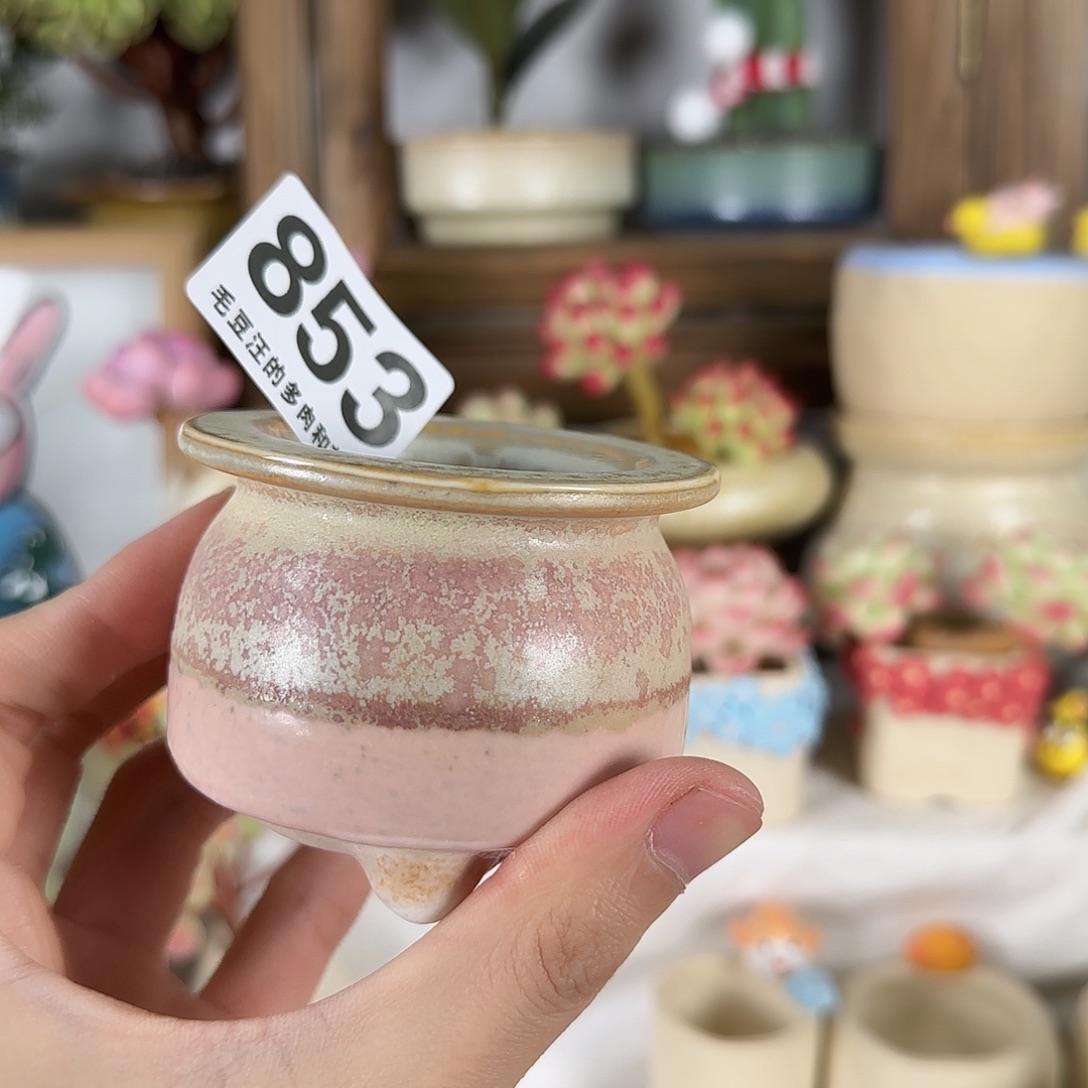 853 口4 瑕疵福利