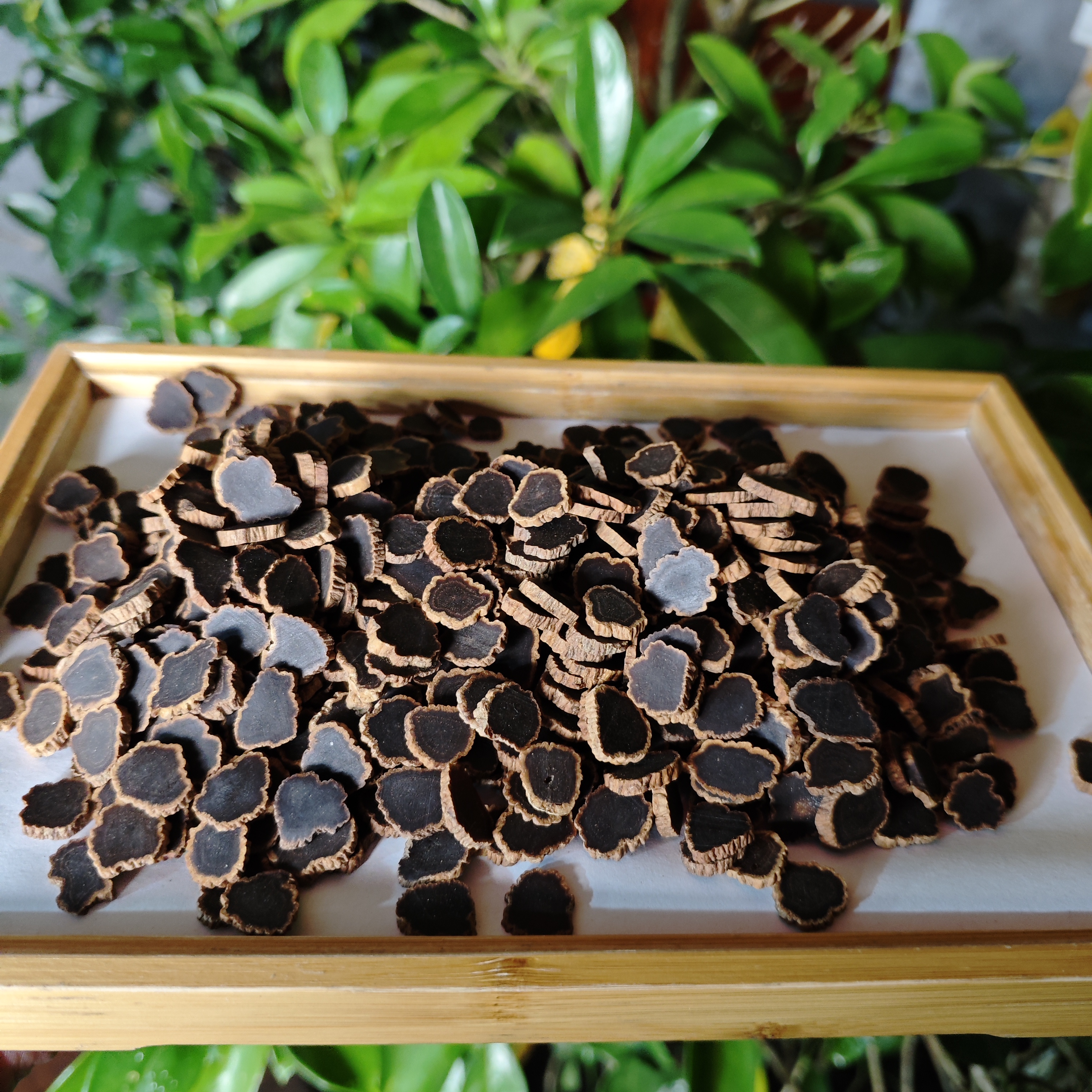 1【金-边-黑-参】净含量：100g-500g【阿忠现收现卖】粮