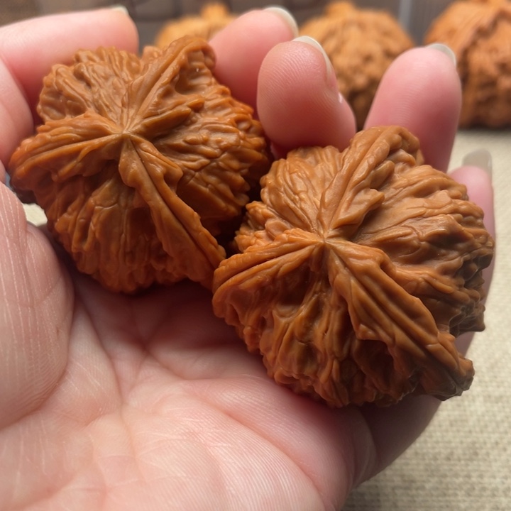 小***串核桃白狮子42核桃