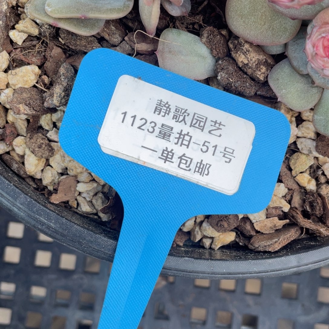 1123-51-红色恋人缀化一颗